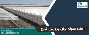خرید سوله پرورش قارچ