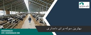 سوله مناسب برای دامداری