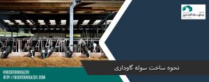 ساخت سوله گاوداری