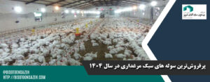 پرفروشترین سوله های سبک مرغداری در سال 1404