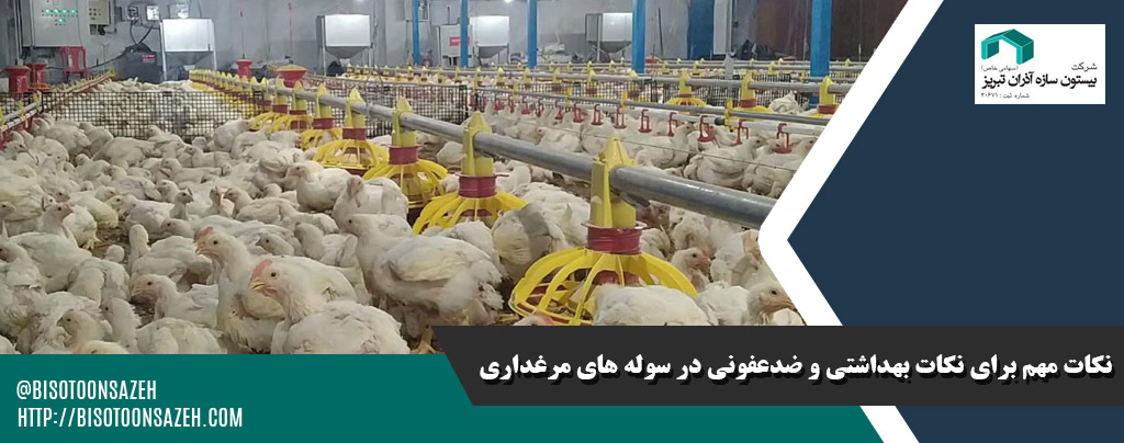 نکات بهداشتی و ضدعفونی در سولههای مرغداری