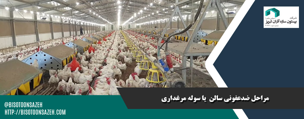 نکات بهداشتی و ضدعفونی در سولههای مرغداری