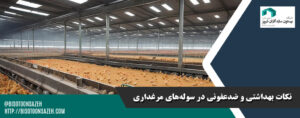 نکات بهداشتی و ضدعفونی در سوله‌های مرغداری