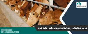 در سوله دامداری چه استاندارد هایی باید رعایت شود