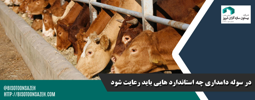 در سوله دامداری چه استاندارد هایی باید رعایت شود