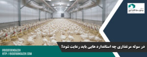 در سوله مرغذاری چه استاندارد هایی باید رعایت شود؟