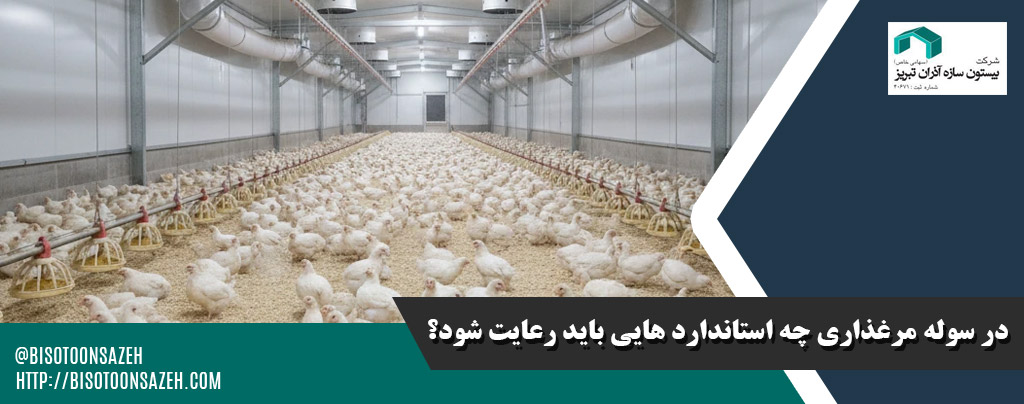 در سوله مرغذاری چه استاندارد هایی باید رعایت شود؟
